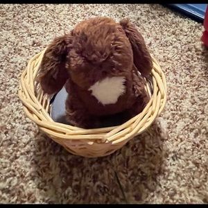 American girl Julie's bunny nutmeg